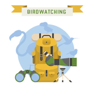 Top thing to do in Ontario - birdwatching