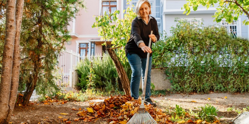 Fall Yard Work: Things you can do to prep your AC for winter