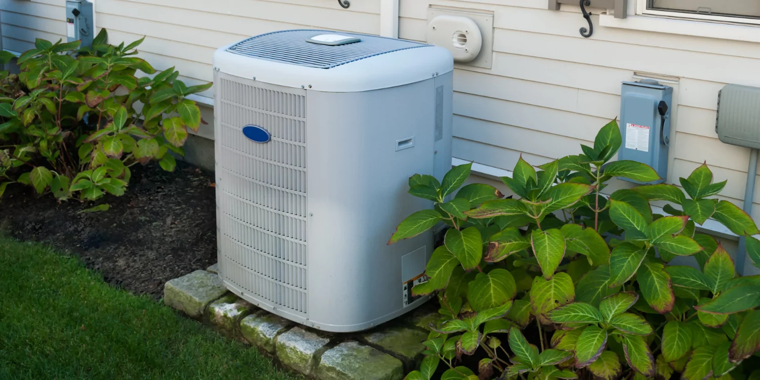 Outdoor AC unit surrounded by plants